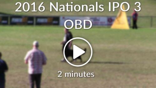 Nationals First IPO3 Obedience