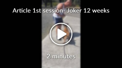 session Joker