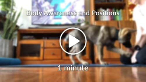 Body Awareness and Positions