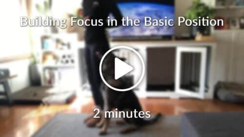 Building Focus in the Basic Position