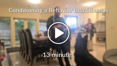 Conditioning a Behavior to a Stimulus