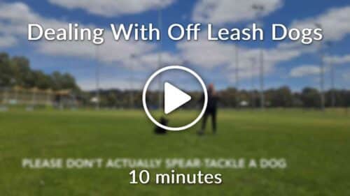 Dealing With Off Leash-Dogs