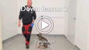 Online Dog Training