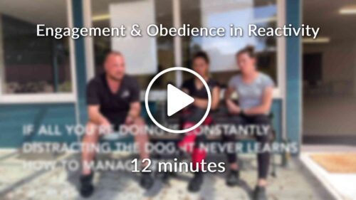 Engagement Obedience in Reactivity