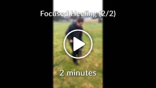 Focused-Heeling