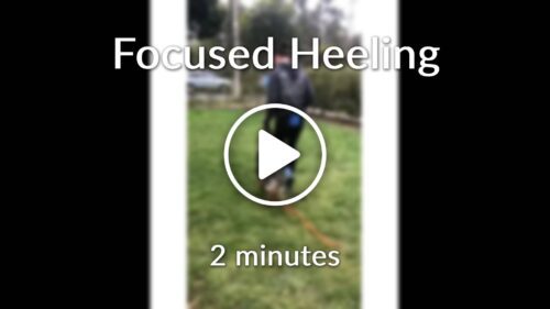 Focused-Heeling