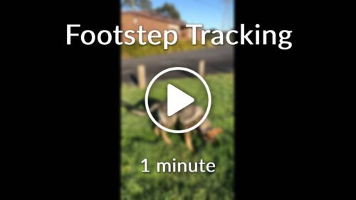 Footstep Tracking