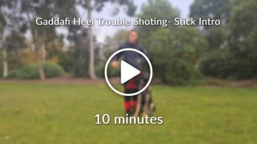 Gaddafi Heel Trouble Shoting Ball and Stick INtro