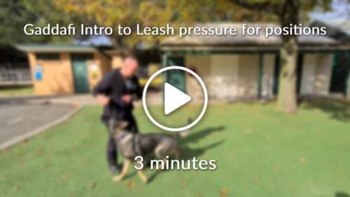 Gaddafi Intro to Leash pressure for positions