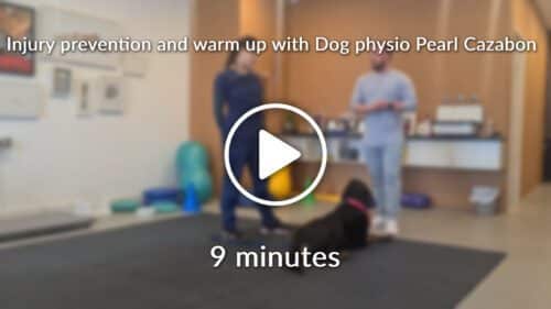 Injury prevention and warm up with Dog physio Pearl Cazabon