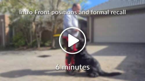 Intro Front positions and formal recall