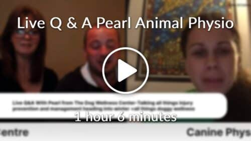 Live Q A Pearl Animal Physio