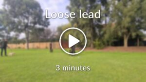 Loose lead