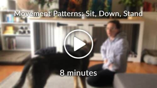 Movement Patterns