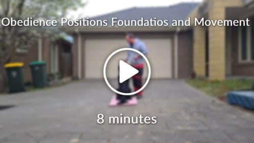 Obedience Positions Foundation and Movement