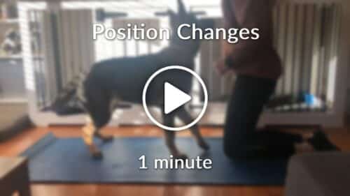 Position Changes