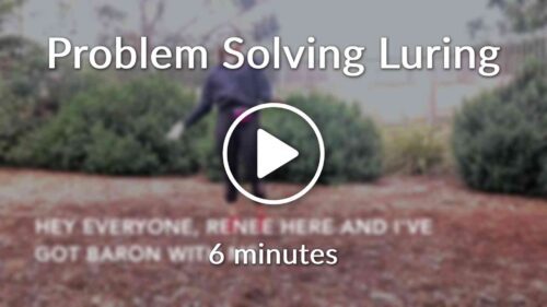 Problem-Solving Luring