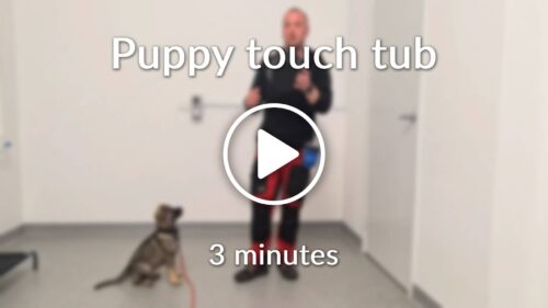 Puppy touch