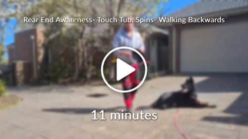 Rear End Awareness Touch Tub Spins Walking Backwards