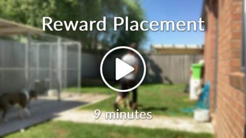 Reward Placement