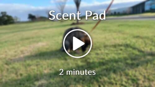 Scent Pad