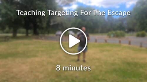 Teaching Targeting For The Escape