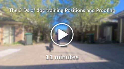 The 3 Ds of dog training Positions and Proofing