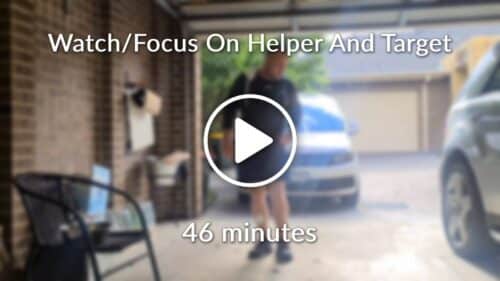 Watch Focus On Helper And Target