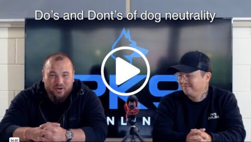 Dos and Donts of dog neutrality