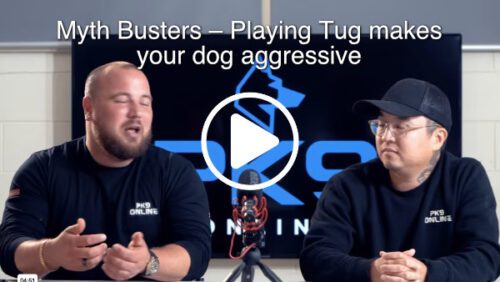 Playing Tug makes your dog aggressive