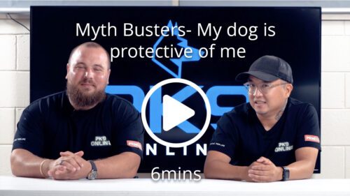 Myth Busters My dog is protective of me